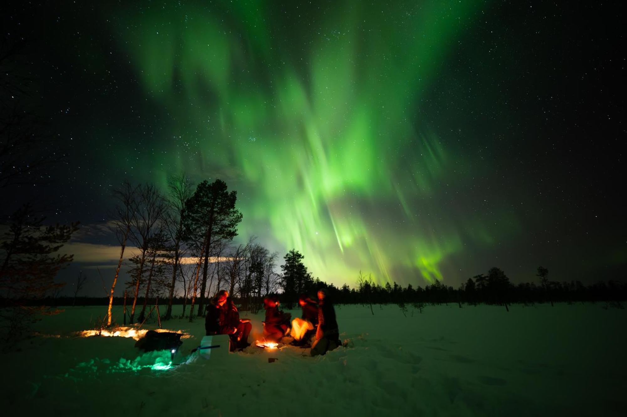 Arctic Guesthouse & Igloos Ranua Exterior foto