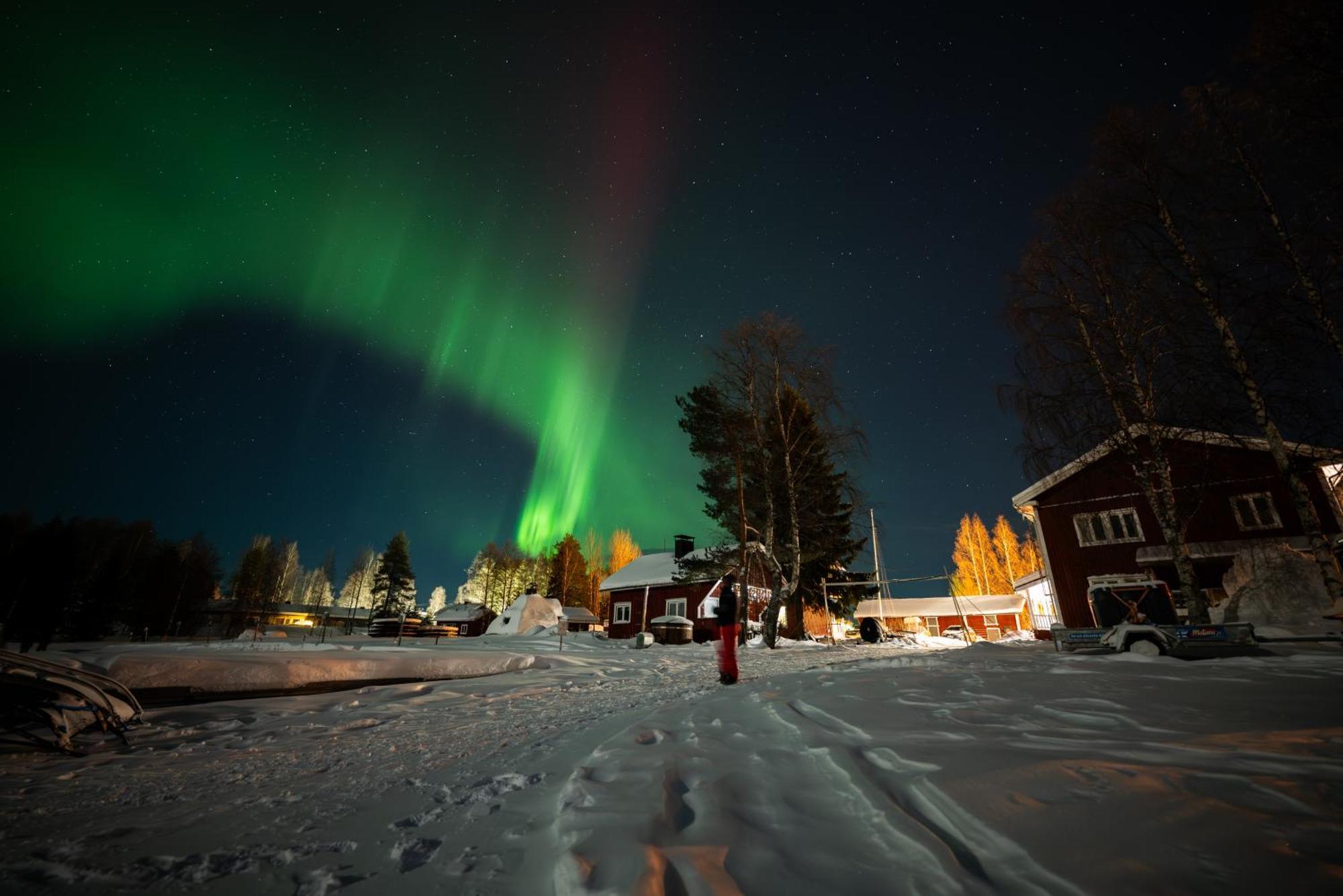 Arctic Guesthouse & Igloos Ranua Exterior foto